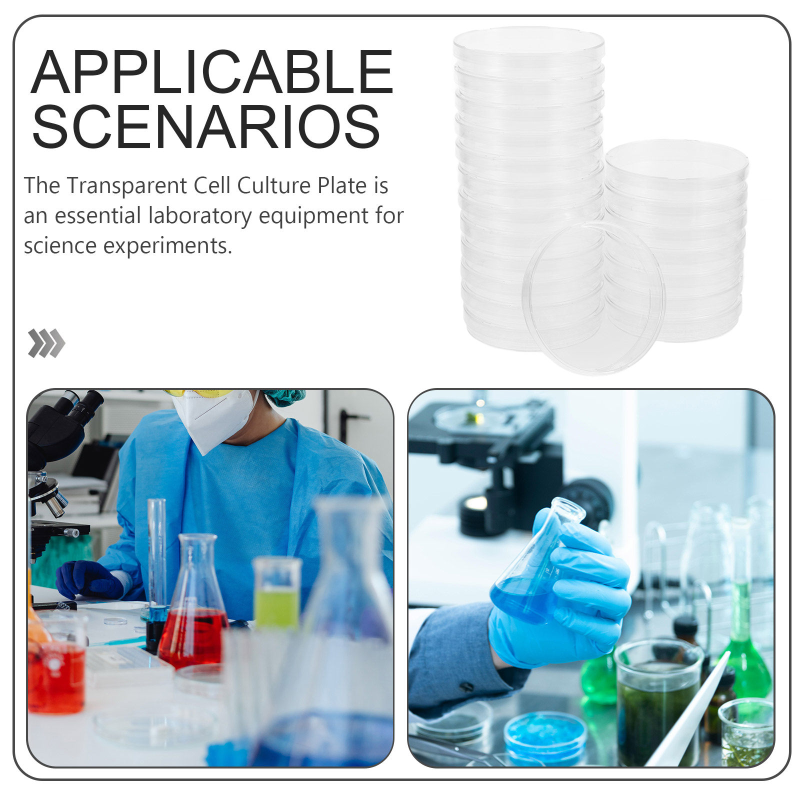 20 Buah Cawan Petri Steril Ber - Agar Tissue Culture ulasan dan harga