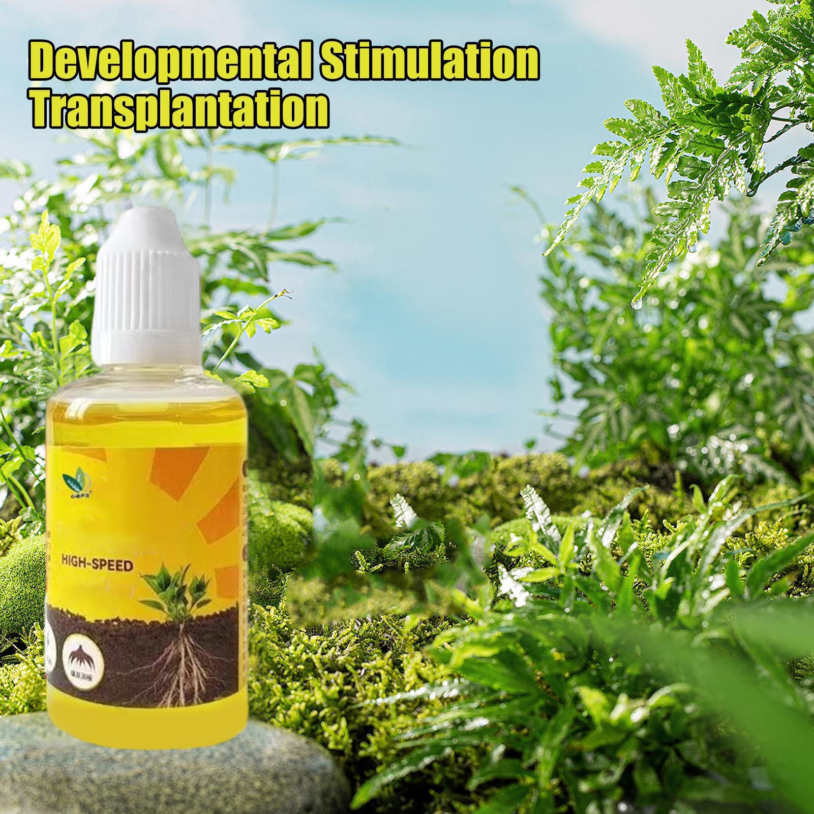 Larutan Nutrisi Tanaman Cepat  - Root Stimulator Liquid ulasan dan harga